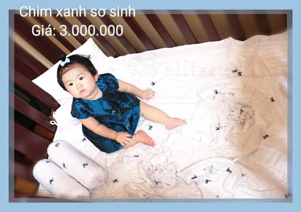 chăn chần gối CHIM XANH - trắng